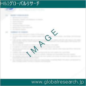 グローバルリサーチ調査レポートのイメージ